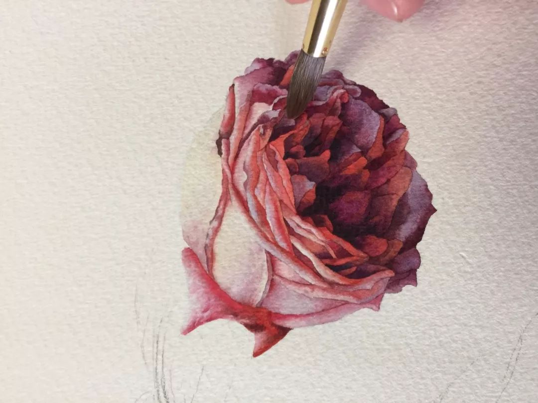 情人节用丙烯画画,情人节教我们画玫瑰