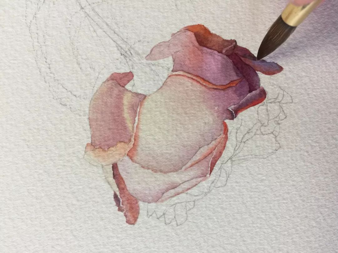 情人节用丙烯画画,情人节教我们画玫瑰