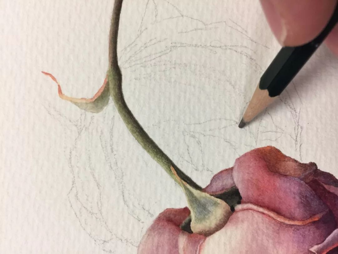 情人节用丙烯画画,情人节教我们画玫瑰