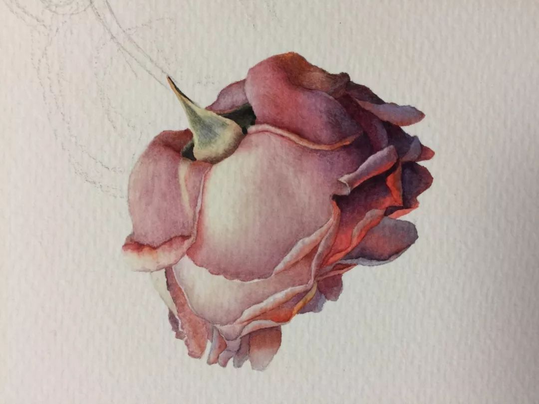 情人节用丙烯画画,情人节教我们画玫瑰