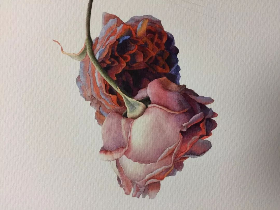 情人节用丙烯画画,情人节教我们画玫瑰