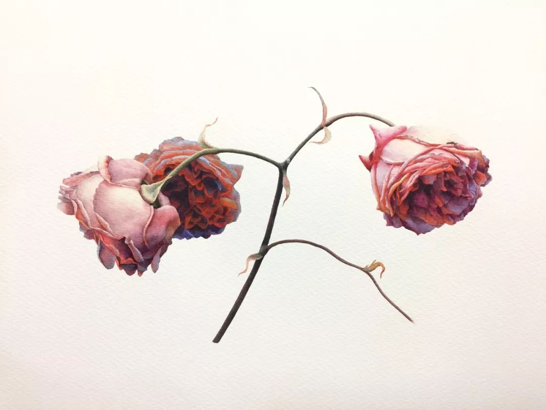 情人节用丙烯画画,情人节教我们画玫瑰