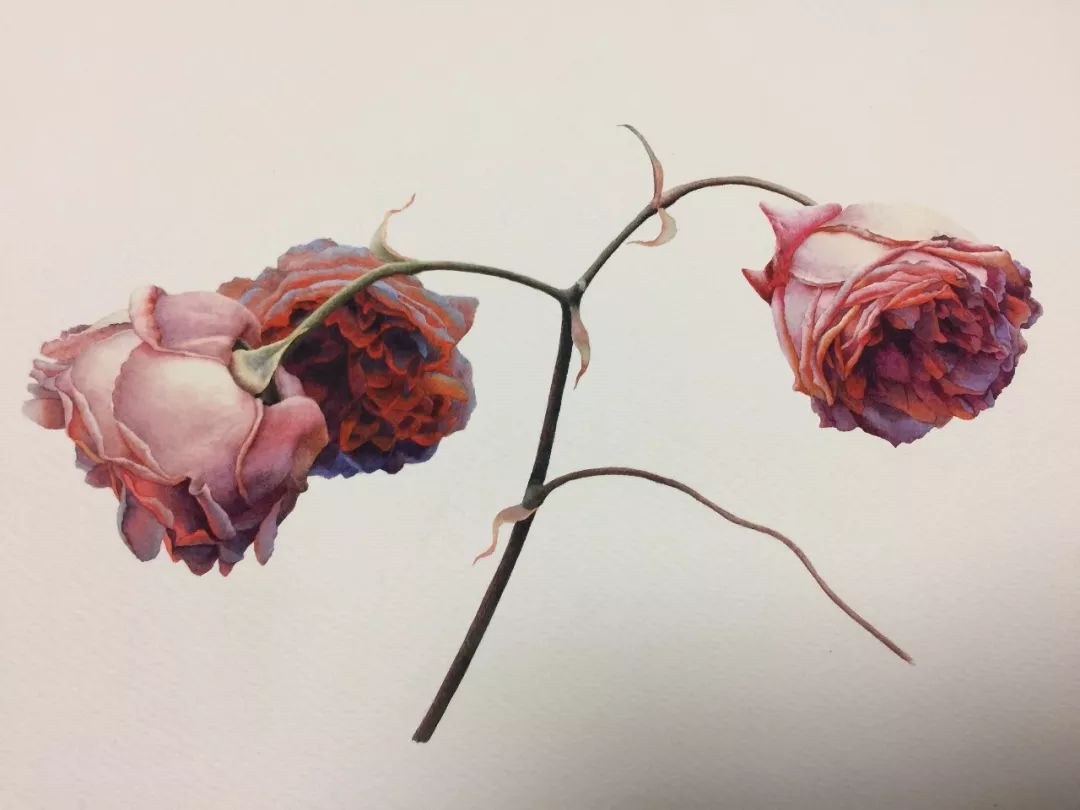 情人节用丙烯画画,情人节教我们画玫瑰