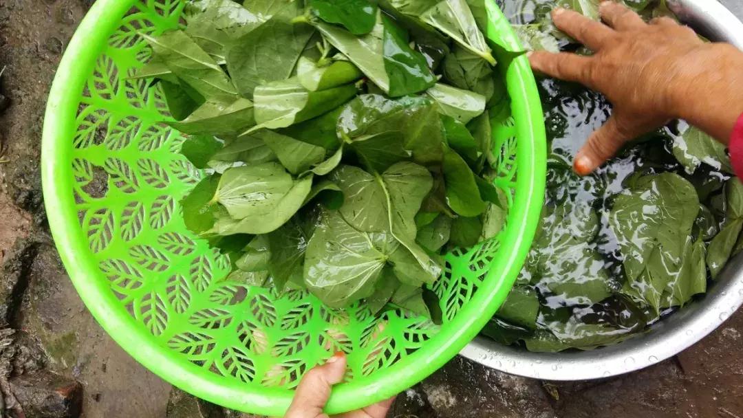 农村的这种东西一斤可以卖50多块 (农村什么东西能卖100多元一斤)