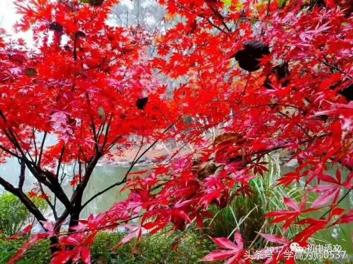 小学四年级语文文学常识积累,语文文学常识积累大全小学