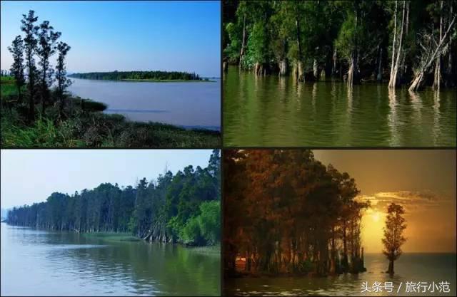 珠海一日游最佳景点港珠澳大桥,珠海长隆旅游攻略必玩的景点