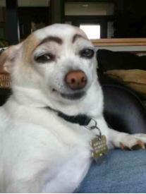 比大姨妈来得还要准时,比大姨妈还要准时的还有什么