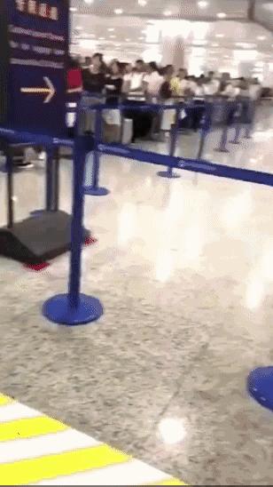 官宣！中国首次正式立法禁代购，海外*党**瑟瑟发抖中