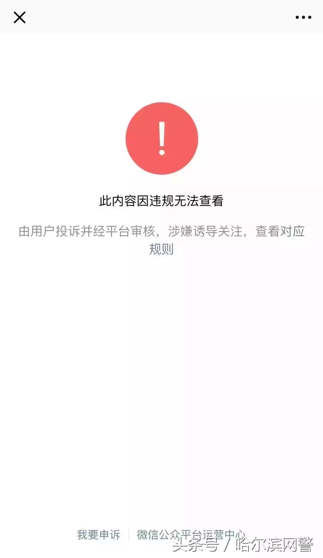 中国锦鲤的套路有哪些呢,中国锦鲤为什么火了