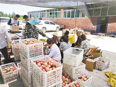 电商扶贫对乡村振兴提升的研究,南阳电商扶贫