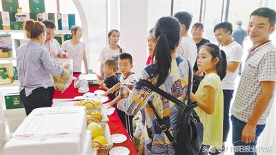 电商扶贫对乡村振兴提升的研究,南阳电商扶贫