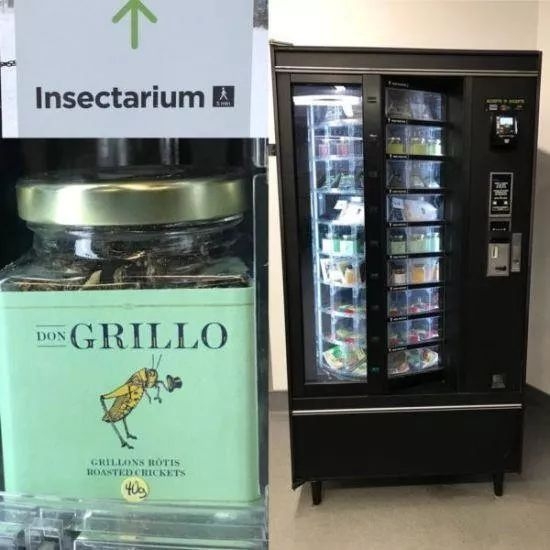 lamy皮卡丘钢笔初代联名多少钱,lamy皮卡丘钢笔怎么安装墨囊