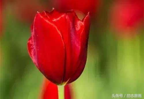 最实用的成语集锦,史上最全成语分类汇总