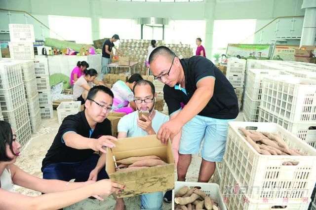 直播卖农产品鸡蛋,个人怎么在网上卖农产品鸡蛋