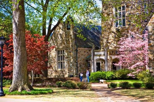 罗德学院怎么样,罗德学院澳大利亚