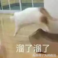 网红猫娘事件后续,网红猫娘骗局揭秘