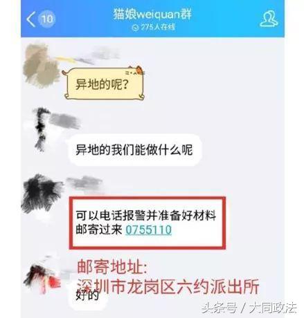 网红猫娘事件后续,网红猫娘骗局揭秘