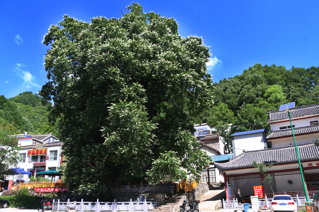 山泉瀑布打卡,山泉溪流旅游攻略