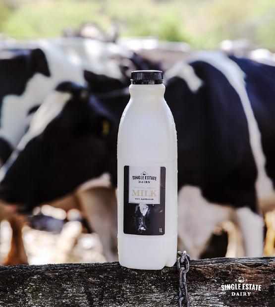 苏宁易购进博会,江苏苏宁易购备战