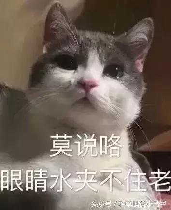 泰国ray面膜产地广州,泰国蚕丝面膜ray