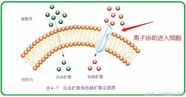 泰国ray面膜产地广州,泰国蚕丝面膜ray