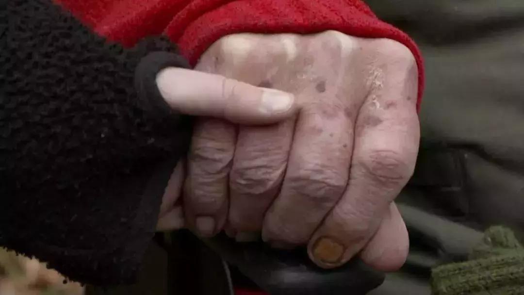 以爱之名暖重阳,重阳节以家人之名定格美好