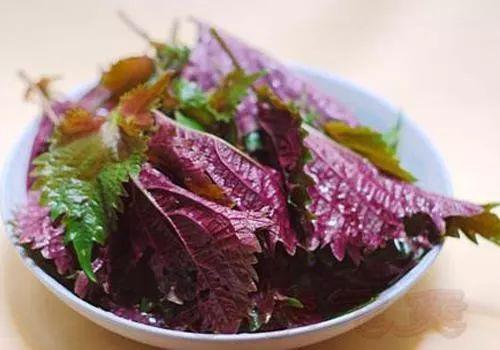 宝宝天冷流鼻涕怎么办,为什么宝宝冬季容易流鼻涕