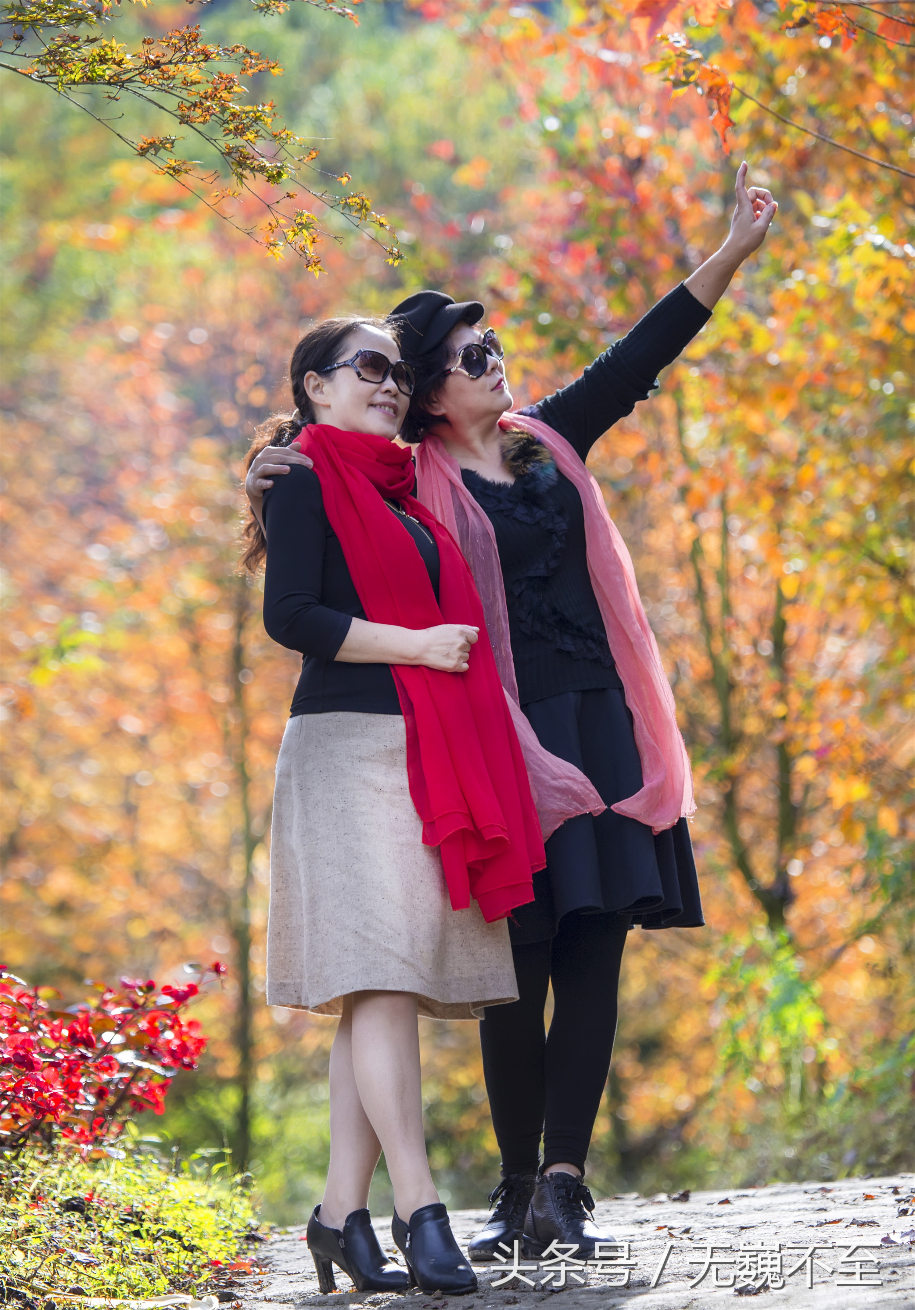 谁言不解“枫”情？金秋观红叶独爱川西红枫岭