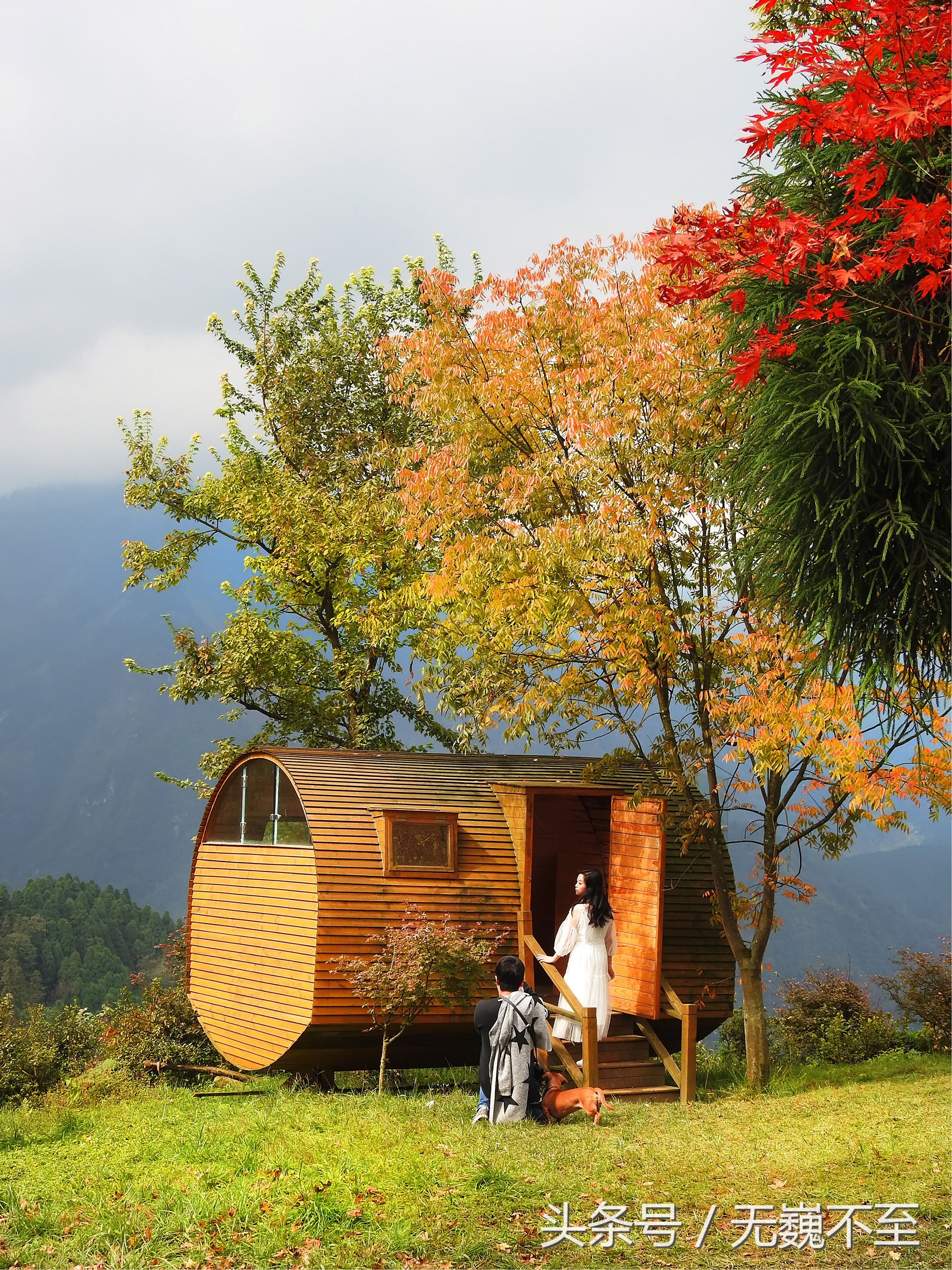 谁言不解“枫”情？金秋观红叶独爱川西红枫岭