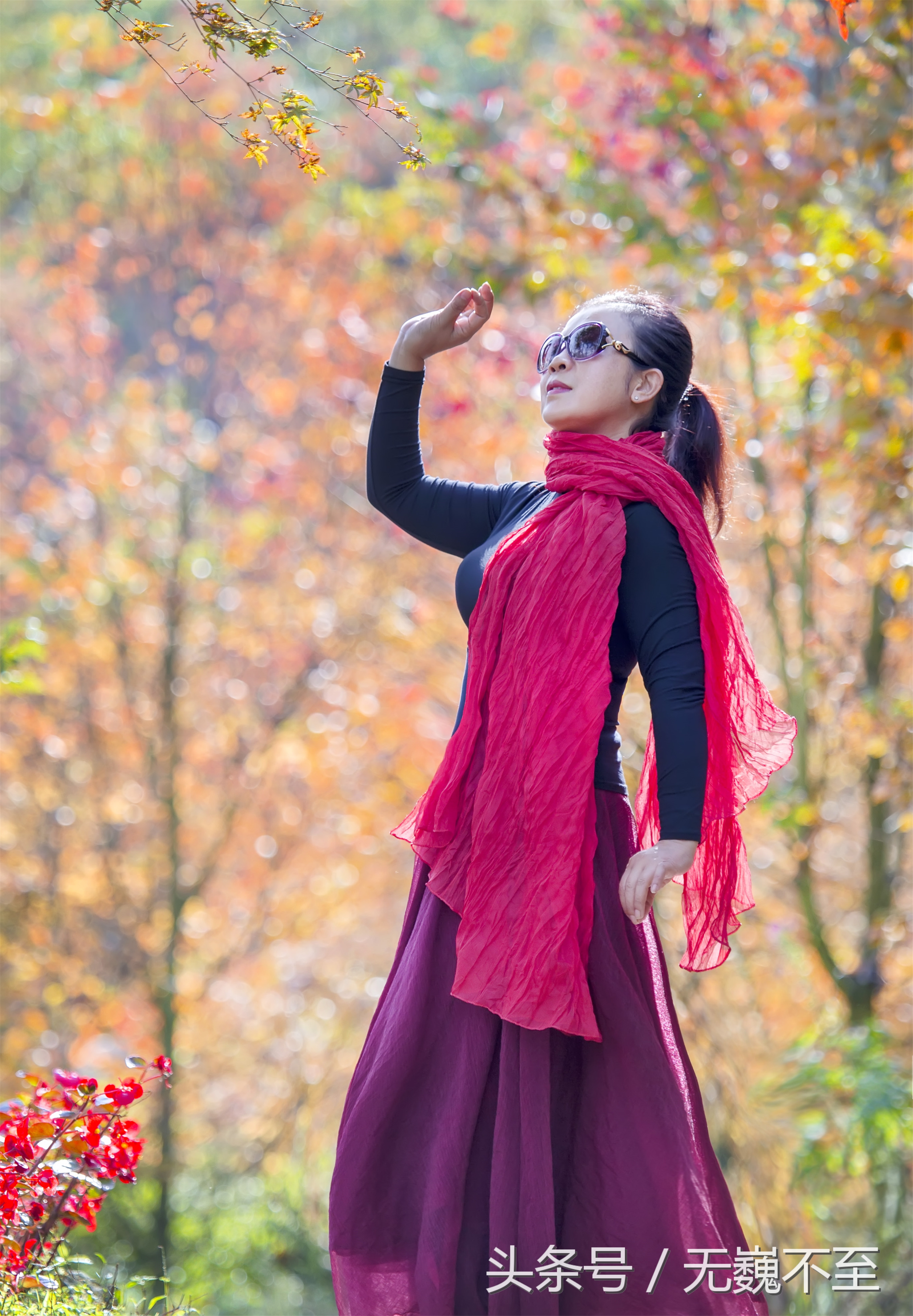 谁言不解“枫”情？金秋观红叶独爱川西红枫岭