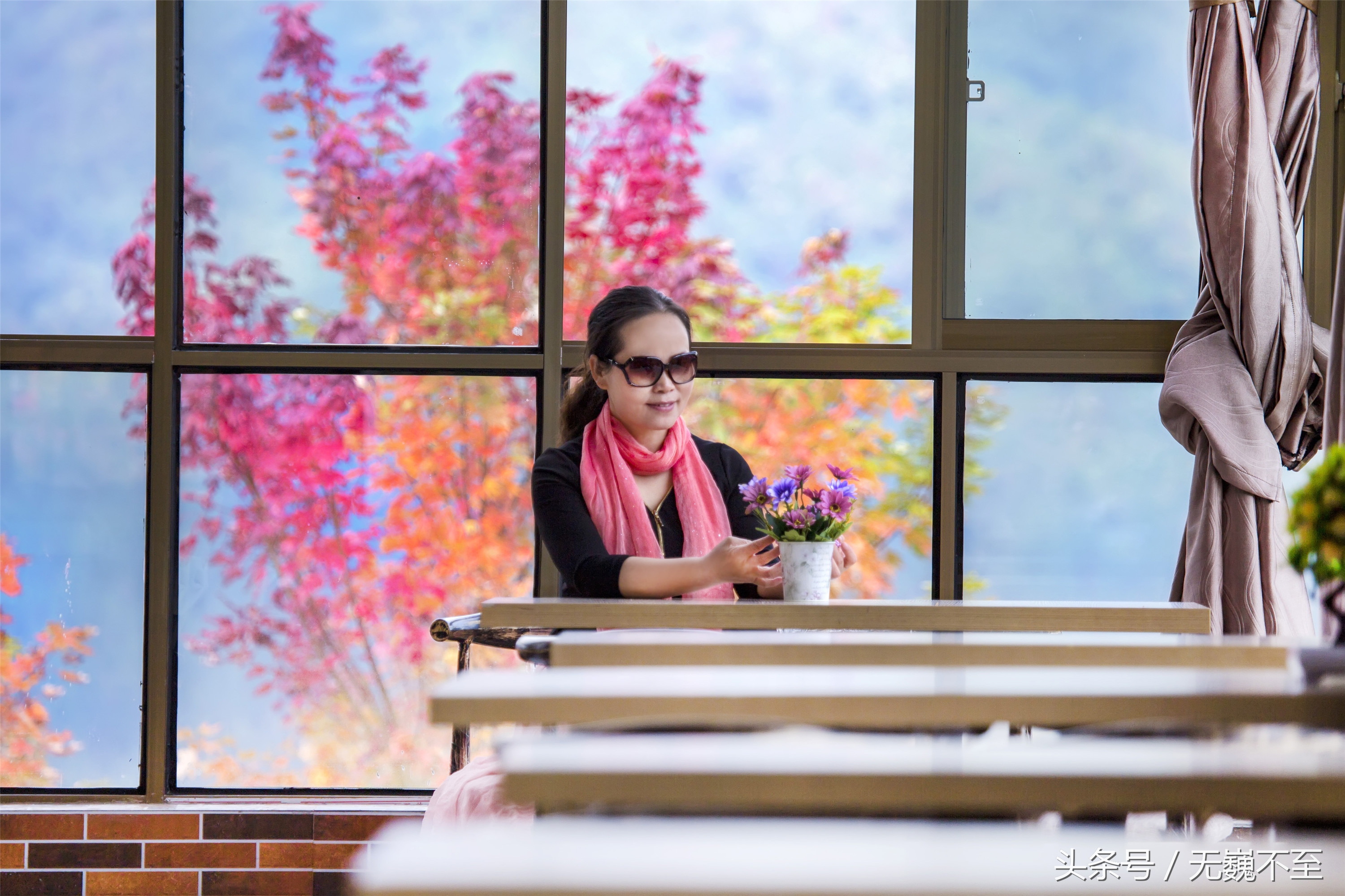 谁言不解“枫”情？金秋观红叶独爱川西红枫岭