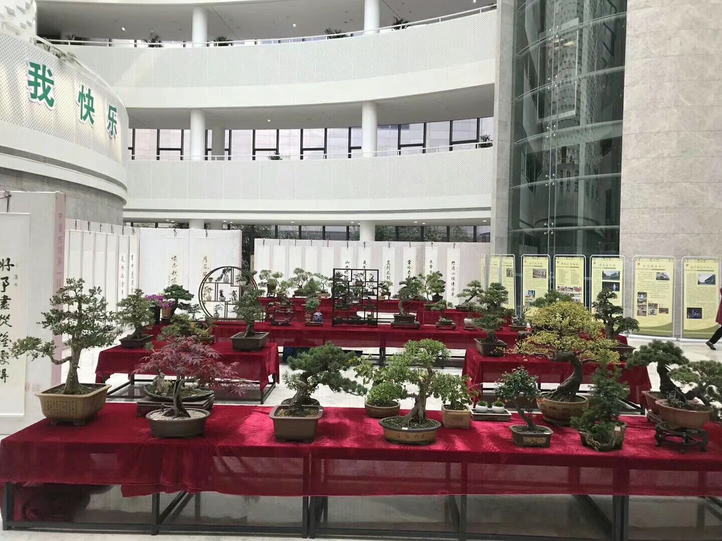 “丝韵飘香”刘亚明书法展、花卉盆景展、集邮展在文化中心展出