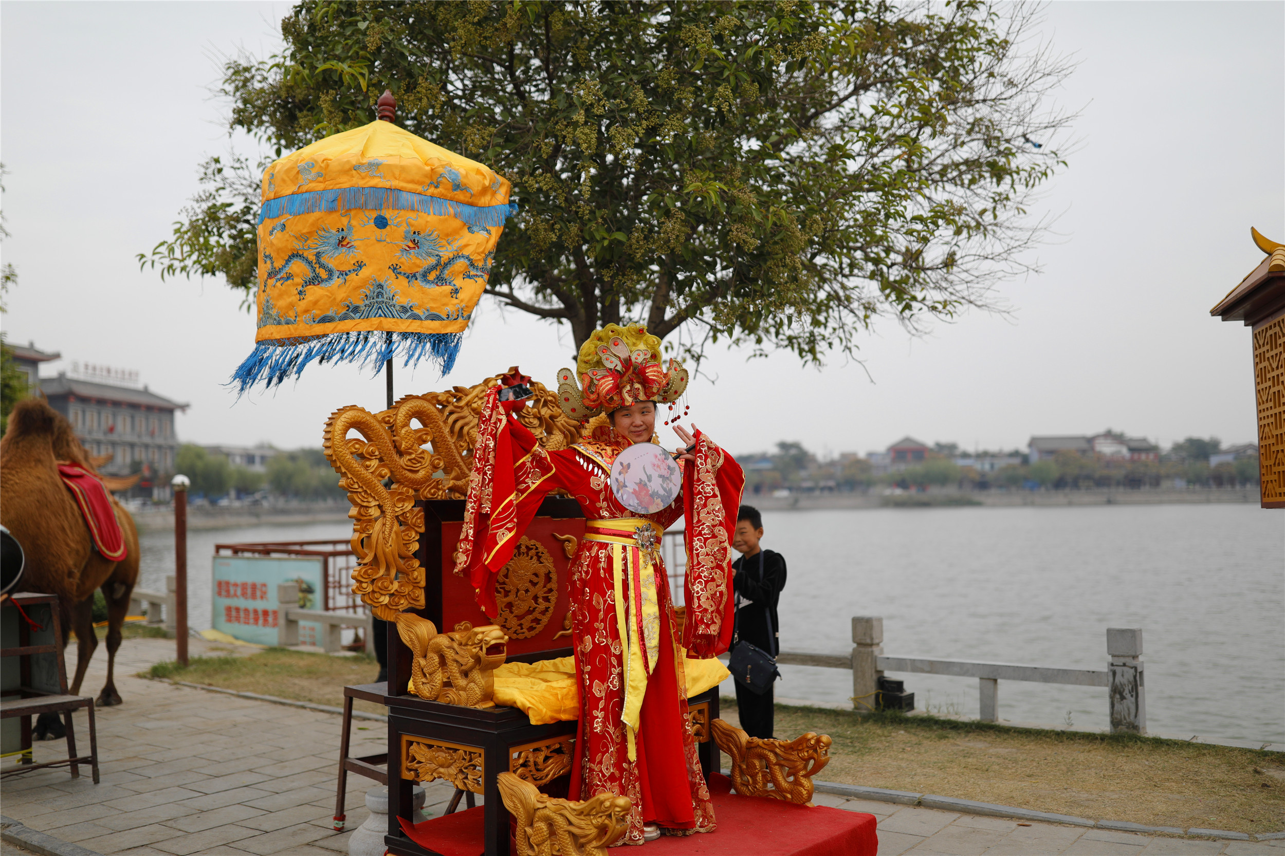 开封清明上河园龙亭两日游,自由行说走就走的旅行开封赏菊