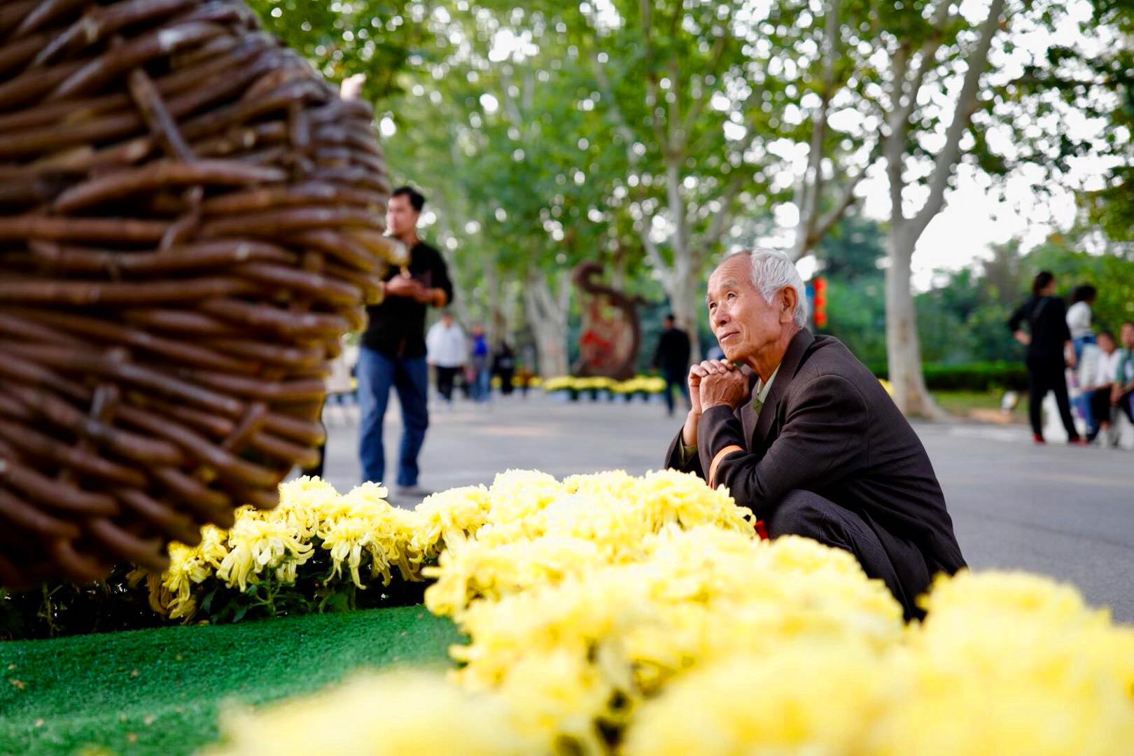 开封清明上河园龙亭两日游,自由行说走就走的旅行开封赏菊