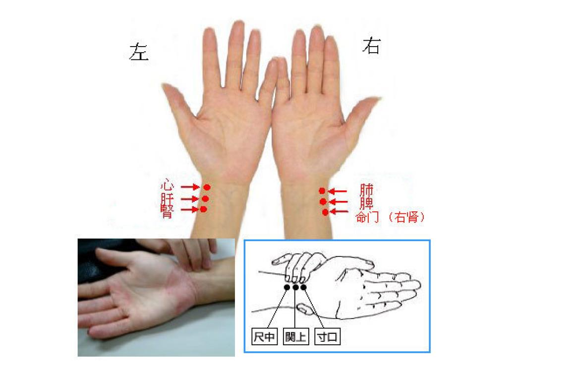 老中医整理的最全把脉口诀,中医把脉手法图解大全