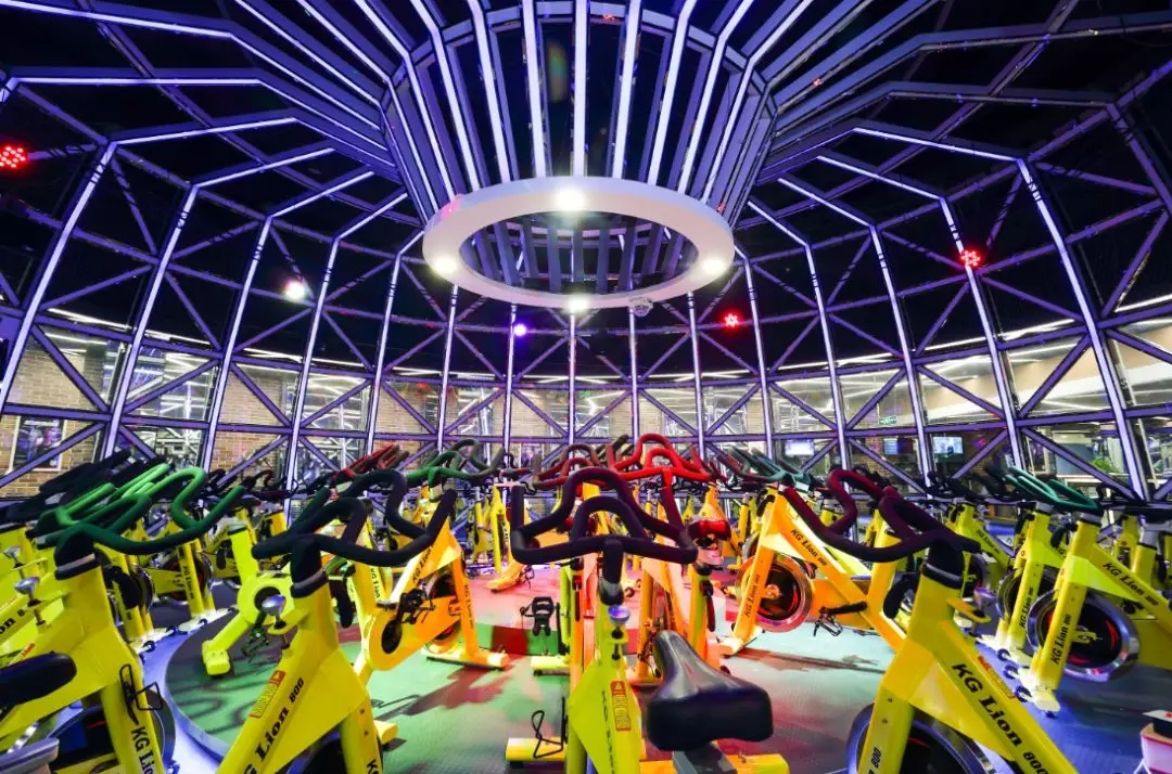 北京金吉鸟董事长周荣,金吉鸟周荣现在是什么情况