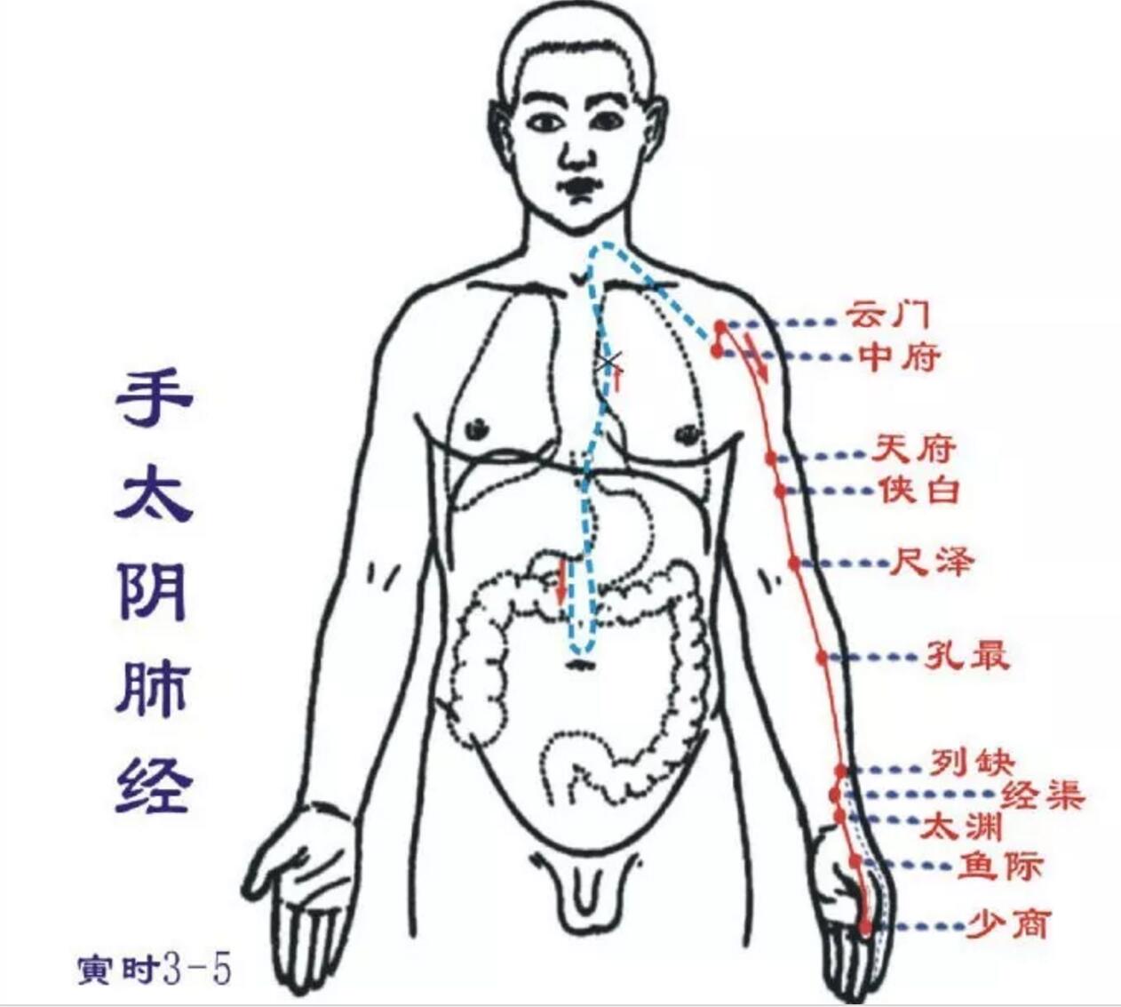 外感咳嗽怎么治,外感咳嗽怎么治疗最好