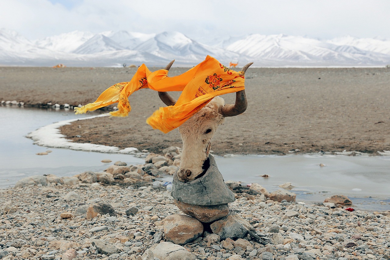 当你在*藏西**出现高反时应该怎么做?看这篇就够了!