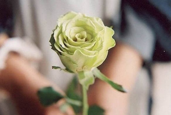 稳定到不能再稳定的星座,超有时间观念的星座