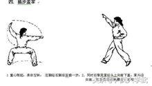 五步拳百科简介,五步拳示意图