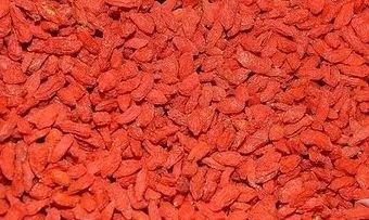 古有东篱把酒黄昏后，今有延年益寿赏菊酒