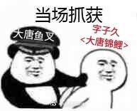 剑网三锦鲤,剑三大唐锦鲤