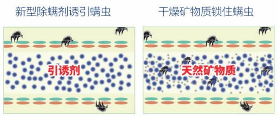 十二星座男眼中的完美女友是什么样的