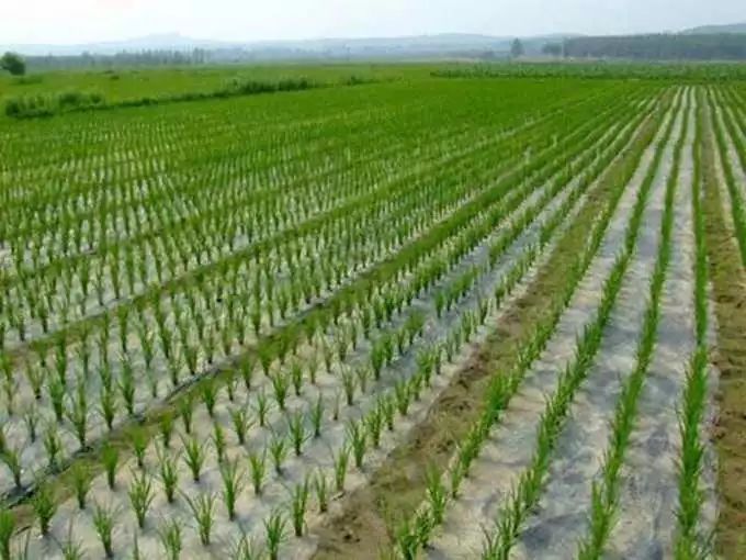 国家农民合作社示范社政策,国家级农民合作社示范要求是什么