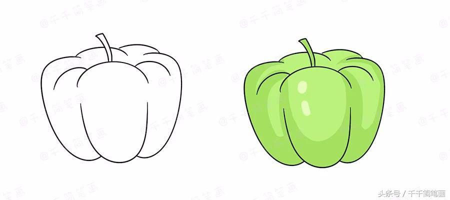 绘画蔬菜成长记,蔬菜成长记绘画图文