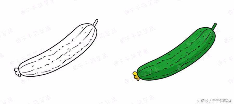 绘画蔬菜成长记,蔬菜成长记绘画图文