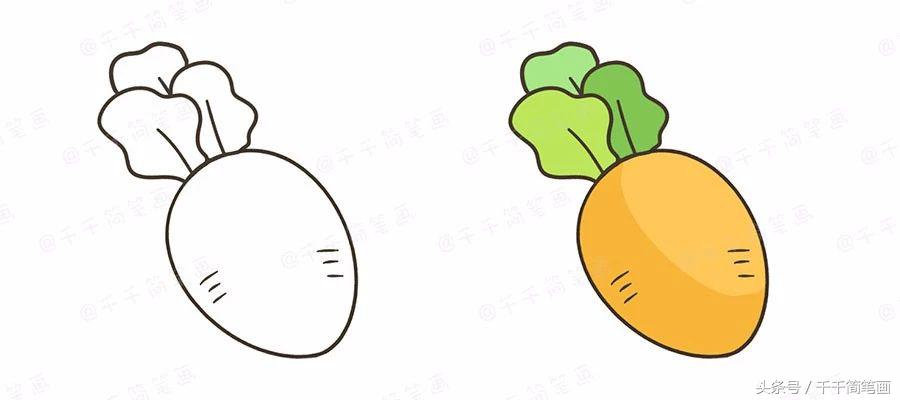 绘画蔬菜成长记,蔬菜成长记绘画图文