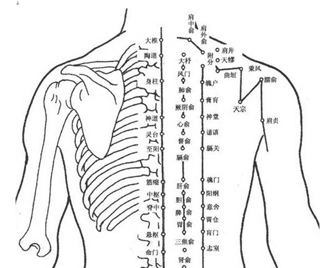 有哪些常见病用到中医穴位,42条实用穴位干货