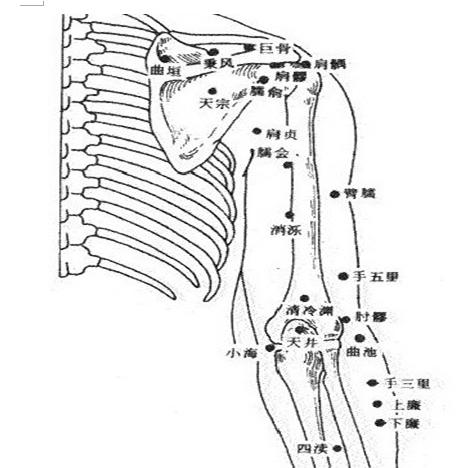 有哪些常见病用到中医穴位,42条实用穴位干货