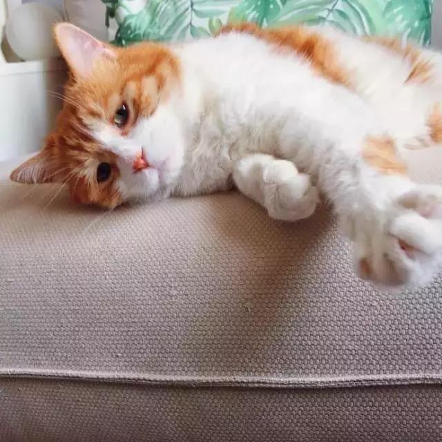 胆量悬殊的二人